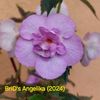 Img.2025.06.07 Ky16/2024
