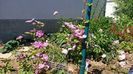Img.2025.05.30