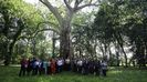 simpozion roman parcul dendrologic styrcea