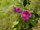 PXL_20250607_055442002