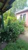 Img.2025.06.11
