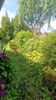 Img.2025.06.11
