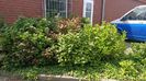 Img.2025.06.11