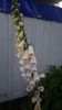 Img.2025.06.12