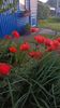 Img.2025.06.12