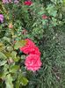 WhatsApp Image 2025-06-13 at 20.35.30_0bd7eabc