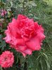 WhatsApp Image 2025-06-13 at 20.35.30_2df1f6d7