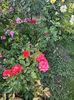 WhatsApp Image 2025-06-13 at 20.35.30_34b0d6c4