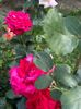 WhatsApp Image 2025-06-13 at 20.36.29_922ebd1c