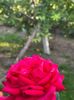 WhatsApp Image 2025-06-13 at 20.36.29_5290b27e