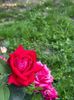 WhatsApp Image 2025-06-13 at 20.36.29_f0176b98