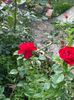 WhatsApp Image 2025-06-13 at 20.37.37_4127bb95