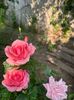 WhatsApp Image 2025-06-13 at 20.37.37_384896e3