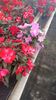 IMG20250618