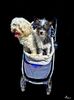 Friendship