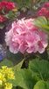IMG20250617