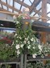 IMG20250616