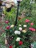 IMG-20250620-WA0122