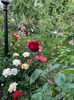 IMG-20250620-WA0123