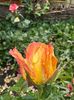 IMG-20250620-WA0138