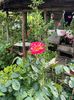 IMG-20250620-WA0140