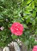 IMG-20250620-WA0147