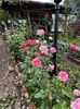 IMG-20250620-WA0150