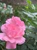 IMG-20250620-WA0152
