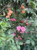 IMG-20250620-WA0159