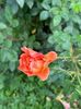IMG-20250620-WA0160