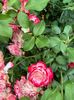 IMG-20250620-WA0162