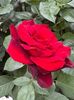 IMG-20250620-WA0171
