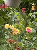 IMG-20250620-WA0172