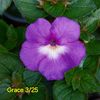 IMG-2025.06.20