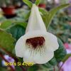 IMG-20250628-WA0050