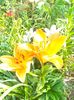 IMG20250628074152