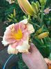 IMG20250701200955