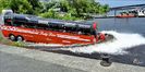 Amphibus