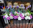 Flowers Deco in OTTAWA1