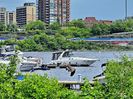 OTTAWA-Gatineau Marina