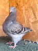 IMG20250725135245