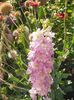 20250727_075844(0)