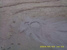 vulcanii noroiosi