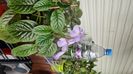 IMG-20250724-WA0075
