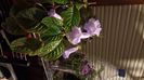 IMG-20250725-WA0025