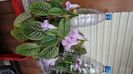 IMG-20250728-WA0008