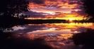 images (11)