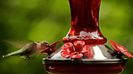 COLIBRI 3a