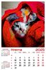 calendar-perete-2025-330x487-Pisici_Page_04