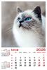 calendar-perete-2025-330x487-Pisici_Page_07